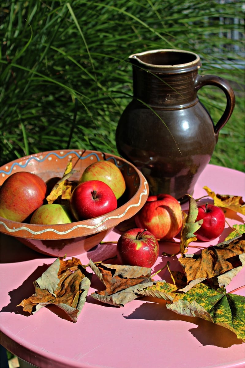 Fall Harvest Dishes